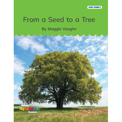 From a Seed to a Tree